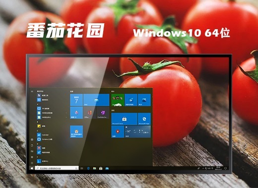 番茄花园 Windows 10